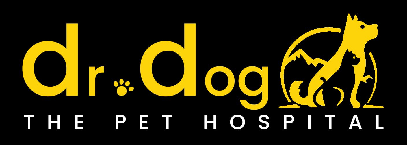 Dr Dog Pet Hospital Logo