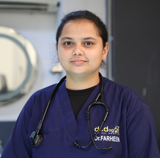 Dr Farheen